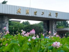 武漢理工大學(xué)預(yù)算150萬(wàn)元 采購(gòu)激光器及便攜式氣體分析儀等儀器設(shè)備