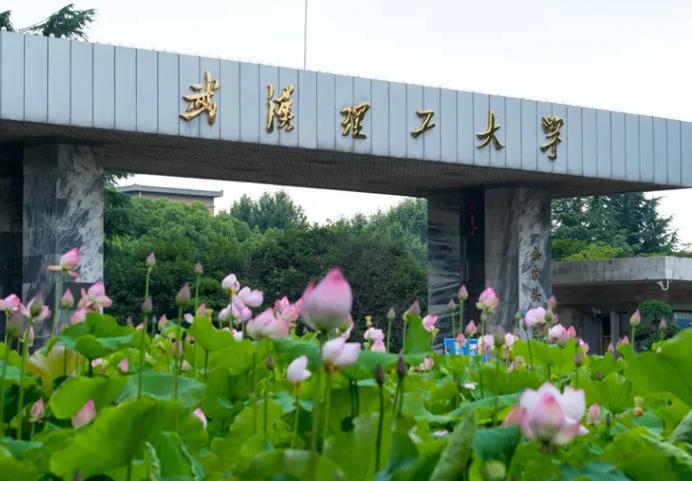 武漢理工大學(xué)平面激光誘導(dǎo)熒光測(cè)試系統(tǒng)染料激光器及便攜式氣體分析儀項(xiàng)目