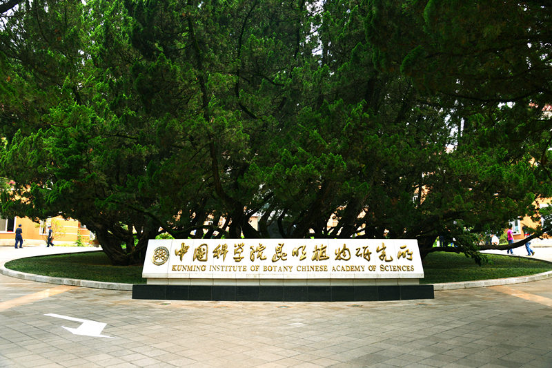 中國(guó)科學(xué)院昆明植物研究所