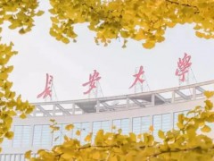 長安大學(xué)預(yù)算262萬 采購顆粒圖像處理儀、激光液態(tài)水同位素分析儀
