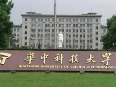 華中科技大學(xué)預(yù)算319.6萬(wàn) 招標(biāo)采購(gòu)矢量網(wǎng)絡(luò)分析儀