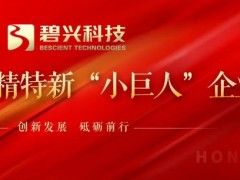 碧興物聯(lián)科技(深圳)股份有限公司榮獲國家級專精特新“小巨人”企業(yè)稱號