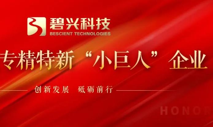 專精特新“小巨人”企業(yè)稱號