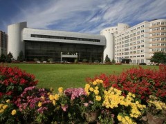 中國科學院沈陽自動化研究所預算6000萬元 采購小型高速風洞實驗裝置
