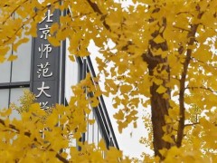 北京師范大學(xué)850萬(wàn) 采購(gòu)X射線電池原位結(jié)構(gòu)分析儀、固體核磁共振譜儀