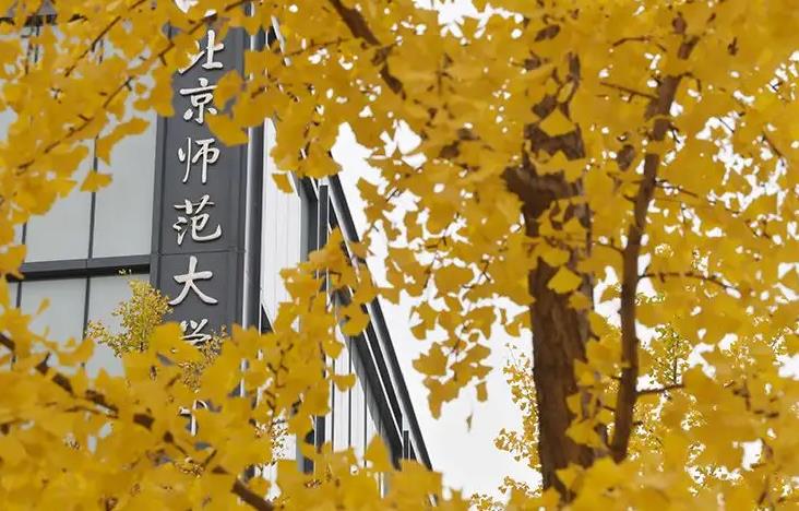 北京師范大學(xué)預(yù)算850萬(wàn) 采購(gòu)X射線電池原位結(jié)構(gòu)分析儀、固體核磁共振譜儀