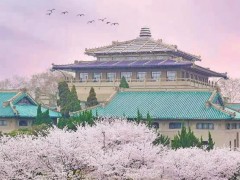 武漢大學(xué)1645萬元 采購顯微鏡、電感耦合等離子體質(zhì)譜、氣質(zhì)聯(lián)用儀等