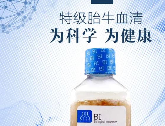 牛血清中12種全氟化合物的測定