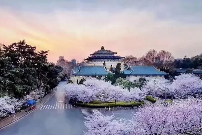 武漢大學(xué)預(yù)算2608萬(wàn) 采購(gòu)流式細(xì)胞儀