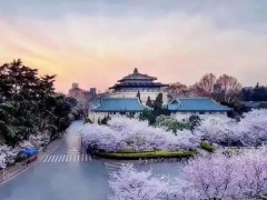 武漢大學(xué)預(yù)算1170萬(wàn) 采購(gòu)氣質(zhì)聯(lián)用儀、圓二色光譜儀、氣相色譜儀、液相色譜儀等