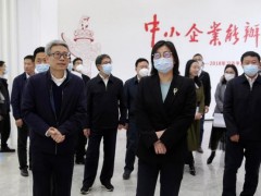 廣東省生態(tài)環(huán)境廳黨組書記徐曉霞一行蒞臨禾信儀器開展調(diào)研