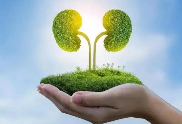 制備透析液用氯化鎂中鋁鹽含量的測(cè)定