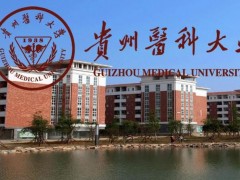 貴州醫(yī)科大學預(yù)算709萬 采購靜電場超高分辨液質(zhì)聯(lián)用儀等儀器設(shè)備