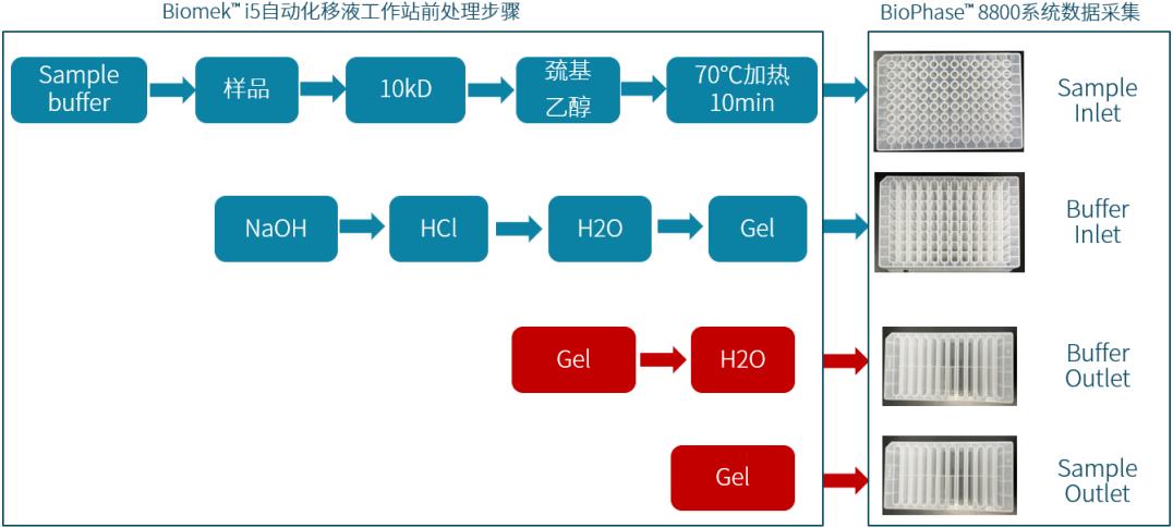 Beckman Biomek i5自動化移液工作站與SCIEX高通量毛細管電泳BioPhase? 8800系統(tǒng)