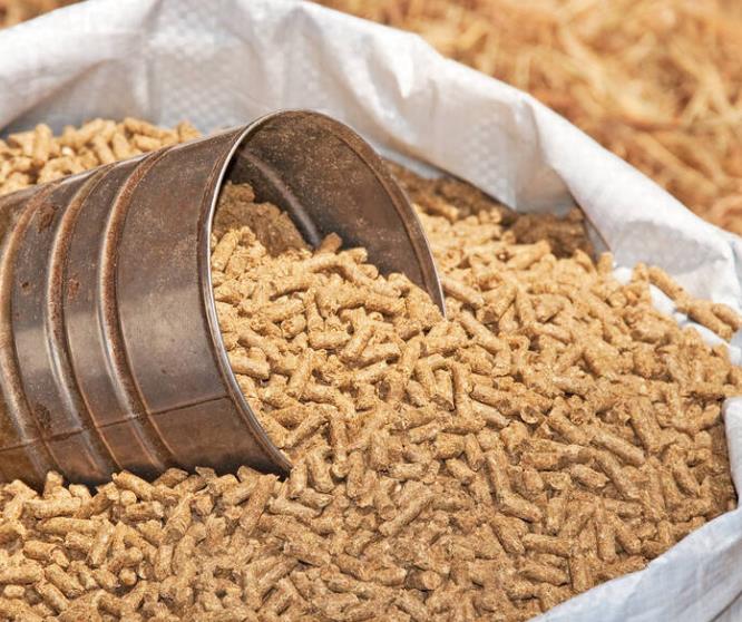 飼料中的總砷測(cè)定 原子熒光法