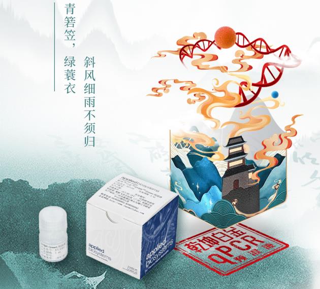 乾坤白金SYBR Green預(yù)混液