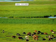 內(nèi)蒙古自治區(qū)水利科學(xué)研究院預(yù)算83萬 磋商采購實驗中心實驗儀器