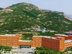中國(guó)科學(xué)院青島生物能源與過(guò)程研究所198萬(wàn) 采購(gòu)多孔材料吸附重量分析儀