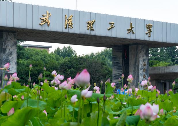 武漢理工大學預算300萬元 招標交通類專業(yè)實驗綜合平臺項目