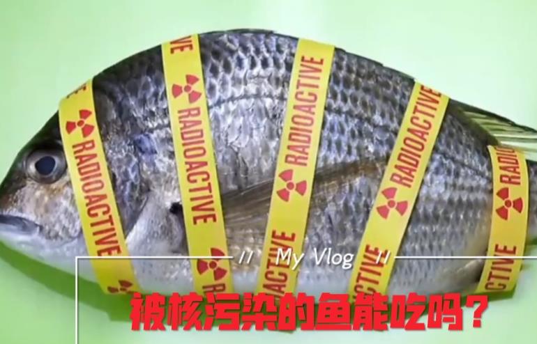 鹽漬海參產(chǎn)地及品質(zhì)的測定
