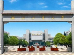 湖北工業(yè)大學預(yù)算702萬元 集成電路檢測與驗證實驗平臺招標