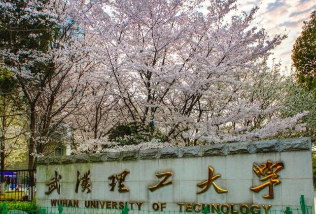 武漢理工大學