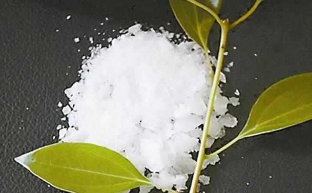 桉油精、龍腦含量的測(cè)定