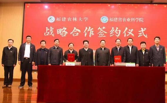 福建省農(nóng)業(yè)科學院果樹研究所