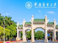 華南農(nóng)業(yè)大學(xué)預(yù)算199萬(wàn) 采購(gòu)三重四級(jí)桿信息素鑒定儀等儀器設(shè)備