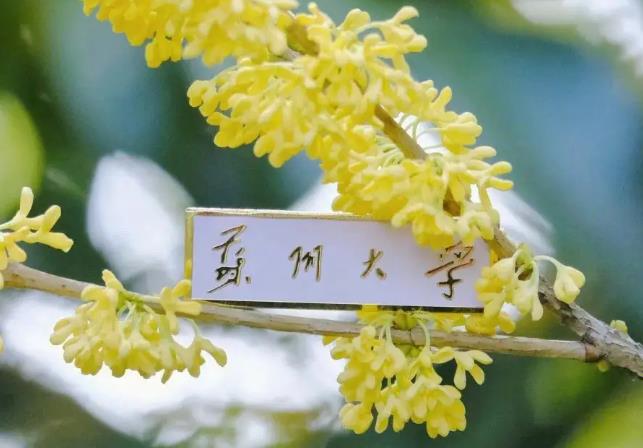 蘇州大學