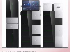 SP-5220氣相色譜儀 SH-IA200/SY-9230離子色譜-原子熒光聯(lián)用儀通過新品鑒定