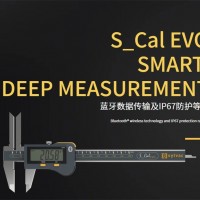 瑞士丹青sylvac量具數(shù)顯卡尺S_Cal EVO