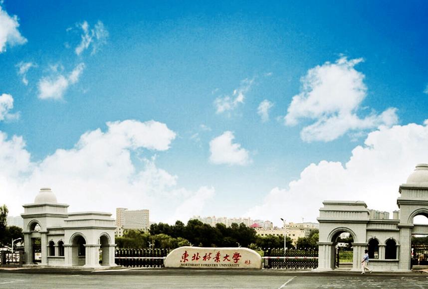 東北林業(yè)大學(xué)