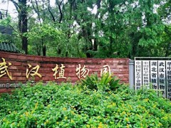 中國科學(xué)院武漢植物園預(yù)算185萬元 采購三重四極桿液質(zhì)聯(lián)用儀