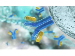 安捷倫科技生物制藥伴隨診斷服務(wù)實驗室已通過美國CLIA實驗室資質(zhì)認證
