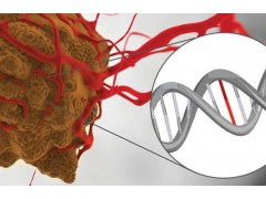 徠卡激光顯微切割系統(tǒng)：精確到單細(xì)胞的 DNA 變異分析工作流程