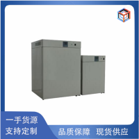 電熱恒溫培養(yǎng)箱DH2500B